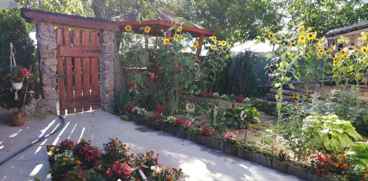 Balla House Bed & Breakfast Tărcaia Екстериор снимка