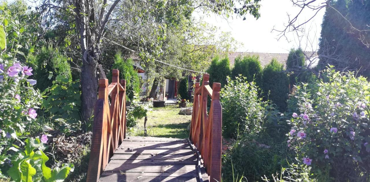 Balla House Bed & Breakfast Tărcaia Екстериор снимка