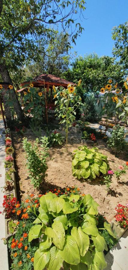 Balla House Bed & Breakfast Tărcaia Екстериор снимка