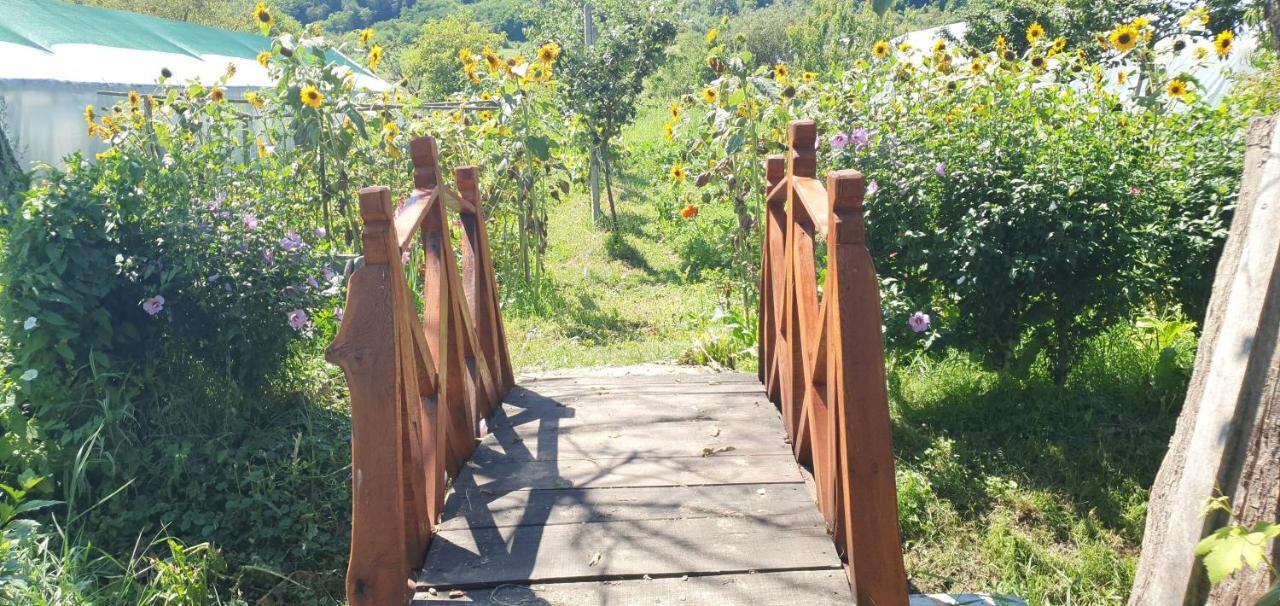 Balla House Bed & Breakfast Tărcaia Екстериор снимка