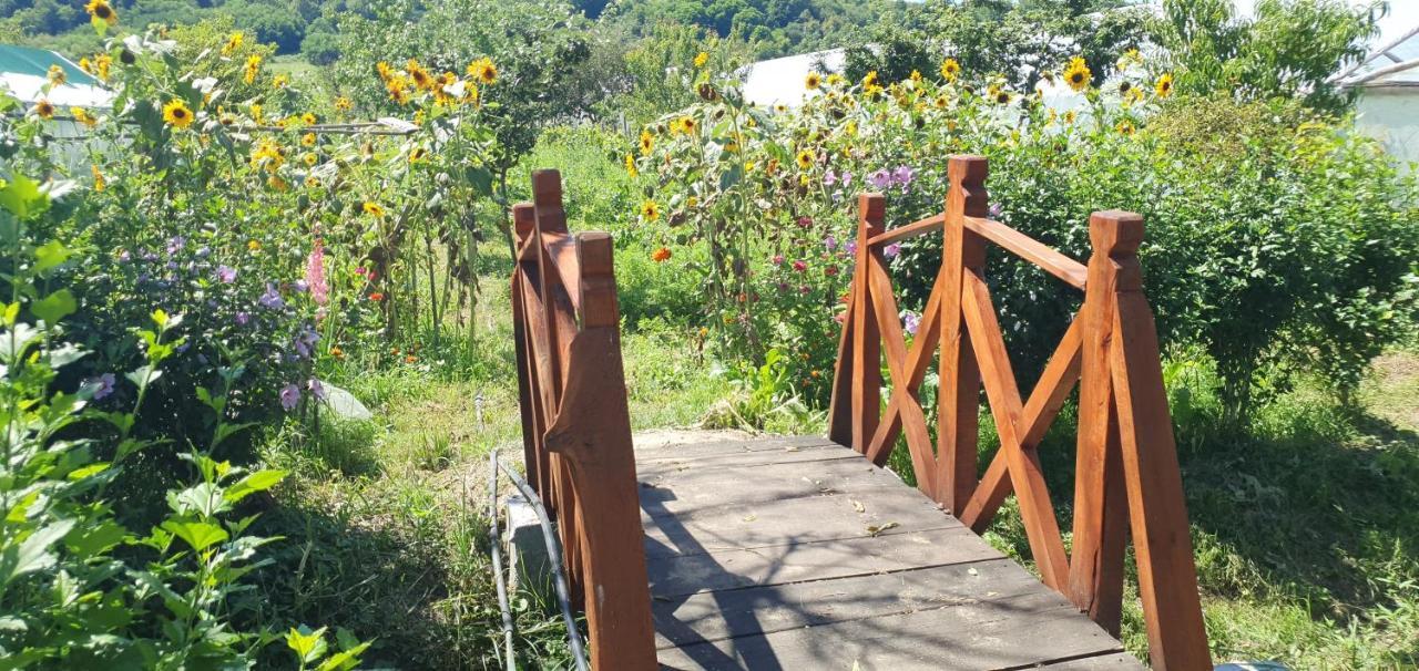 Balla House Bed & Breakfast Tărcaia Екстериор снимка