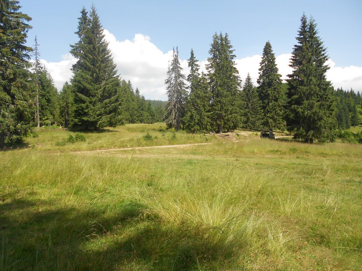 Balla House Bed & Breakfast Tărcaia Стая снимка